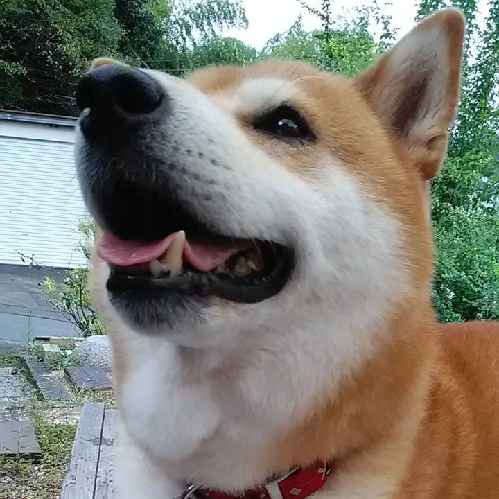 Eef299a1 48a6 421d 8373 0d10d890ceb1 1629336855972