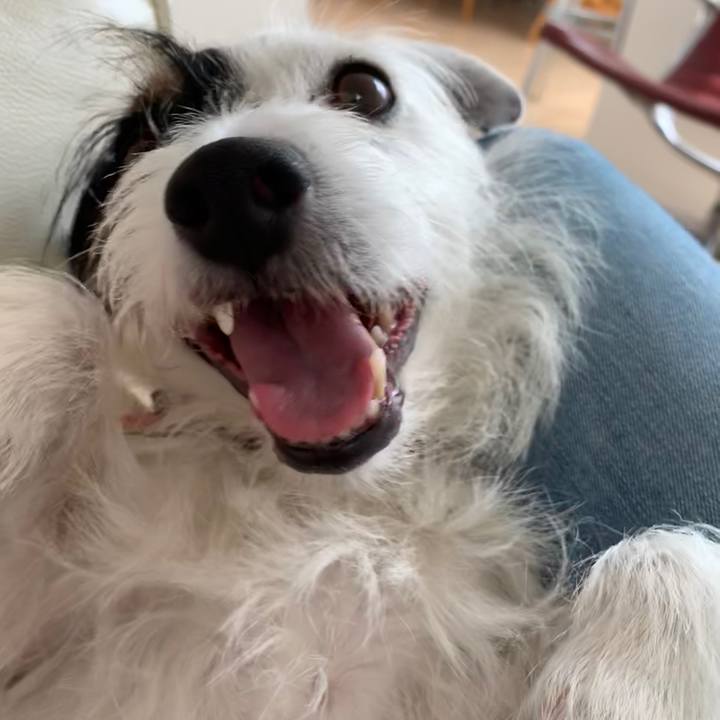 Eef2aba3 ed1d 419f bb62 91e83cce0dcc 1595906119595