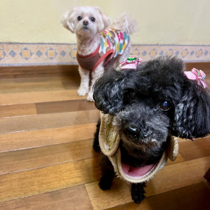 Eef2bd48 802f 4a1e 91bc d40ba514c3ce 1770541853739