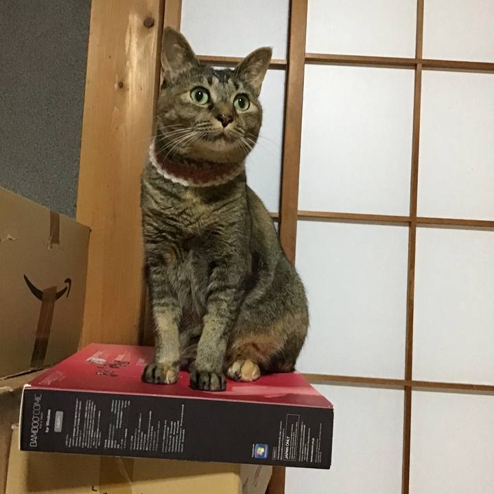 Eef2e317 1c47 4312 966e 05c54aed86cc 1657795325508