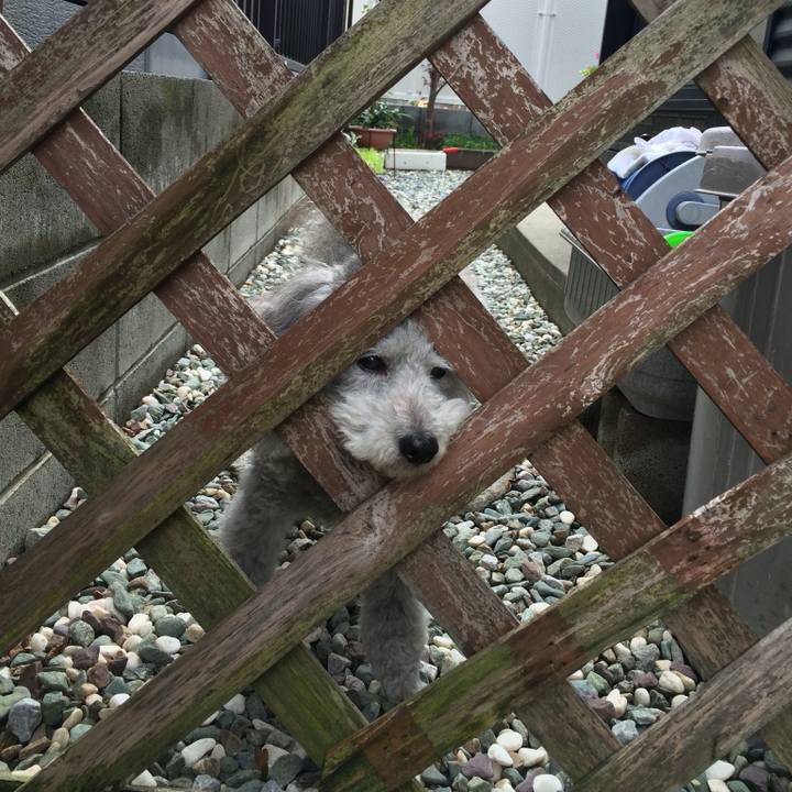 Eef2f85e 13c8 411c 93ba a8fd88ae73e9 1769991314391