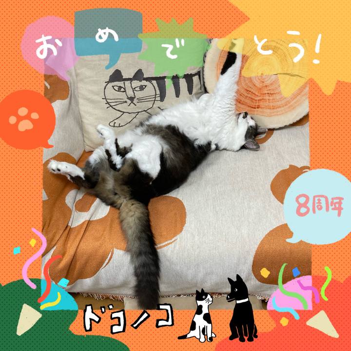 Eef302f9 d1ff 4b66 ab0e 900b120600c5 1718129617591