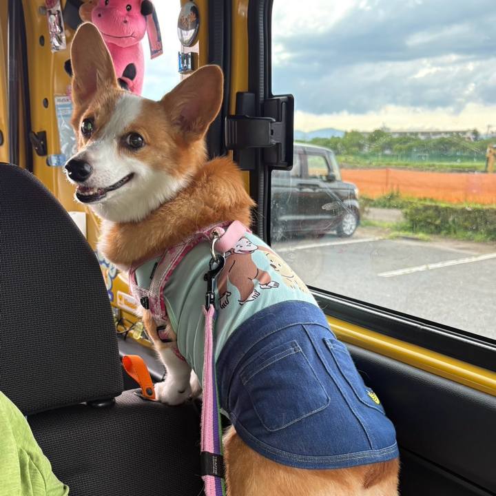 Eef30d40 3544 4aa5 8d7d 267f22c24b0d 1777883110271