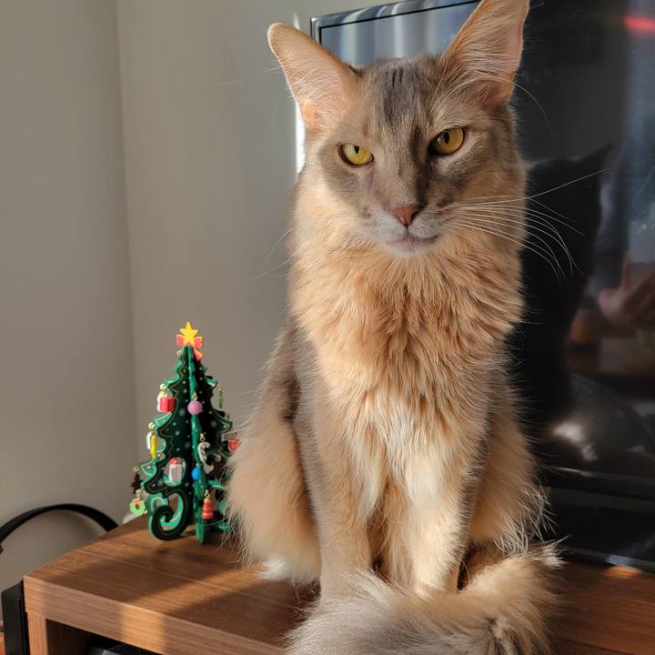 Eef3102e 05d8 421b 8bf0 227e010a8309 1636853428202