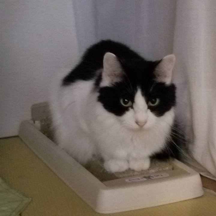 Eef34293 dd37 49b0 9d4c 28e4bfabffba 1596063835147