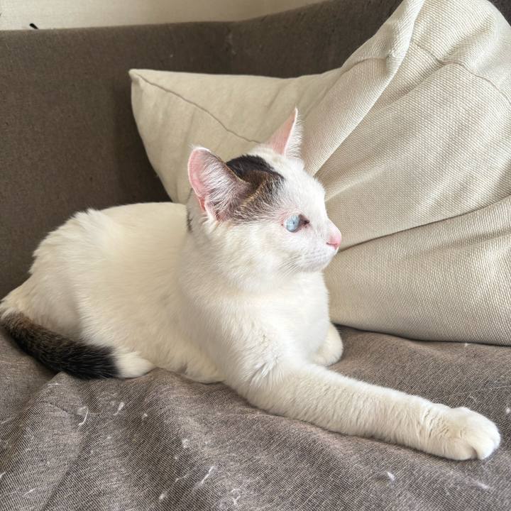 Eef350ef 9996 45de 8f1f 0a7cbddd8dc3 1768696669350