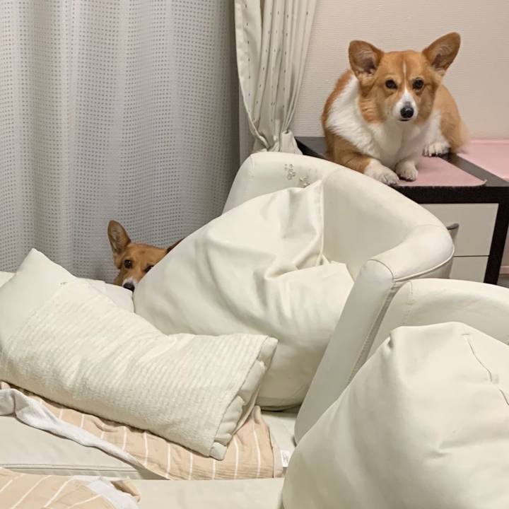 Eef37b48 2e1e 4f93 a3a2 8b6c58c9dca1 1560931242951