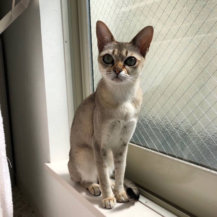 Eef3bb9c 0eb3 416a b402 32f183fa4e26 1520738077903