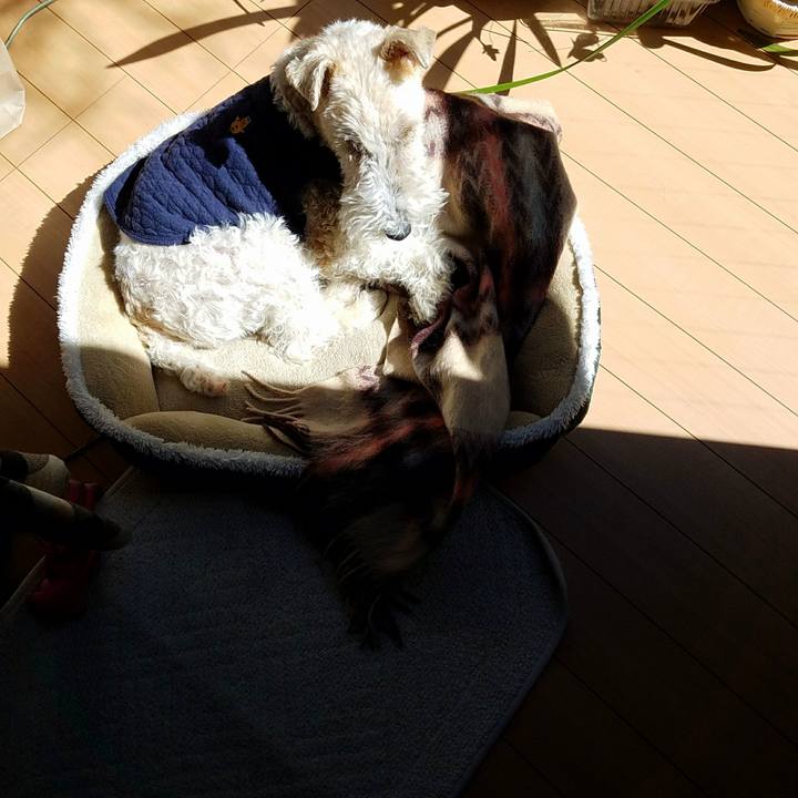 Eef3f665 8512 42f4 8768 dc36f5648bd1 1520658129863