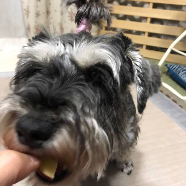 Eef428c0 d8f7 42a6 86f8 2acb2a5223a0 1626352745393