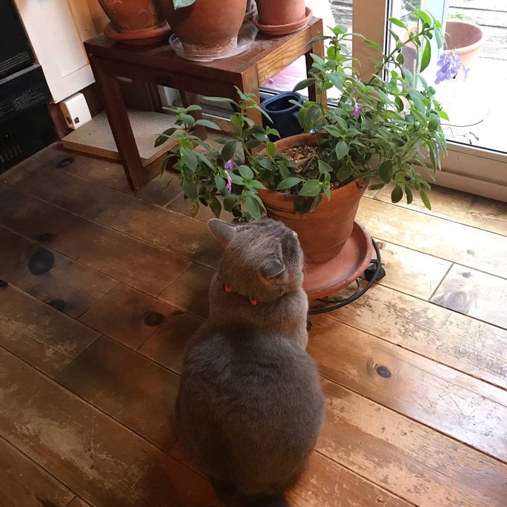 Eef4912f f149 4a4d ab1d 9261d8d5c086 1542980437687