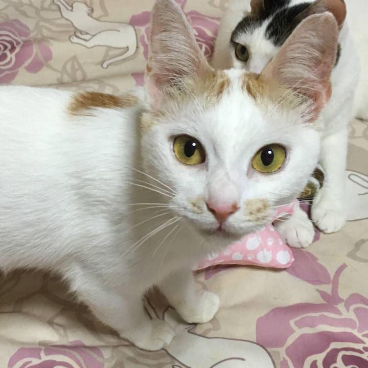 Eef4a245 9aaf 4887 a345 feb0ffde599b 1528013619671