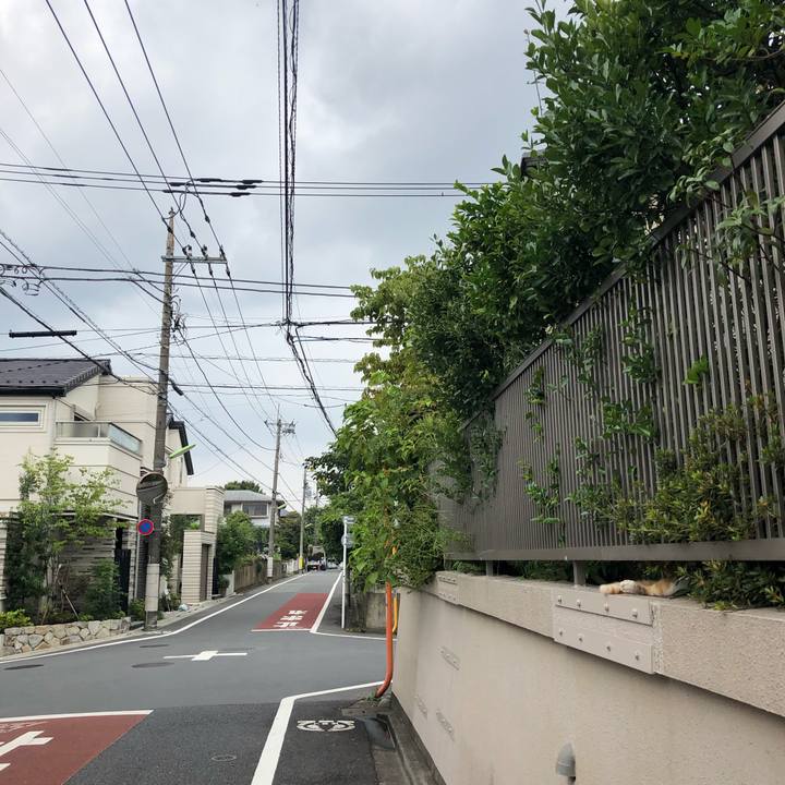 Eef4c6de 1f02 453a bc8b 100605b6cf00 1566719307351