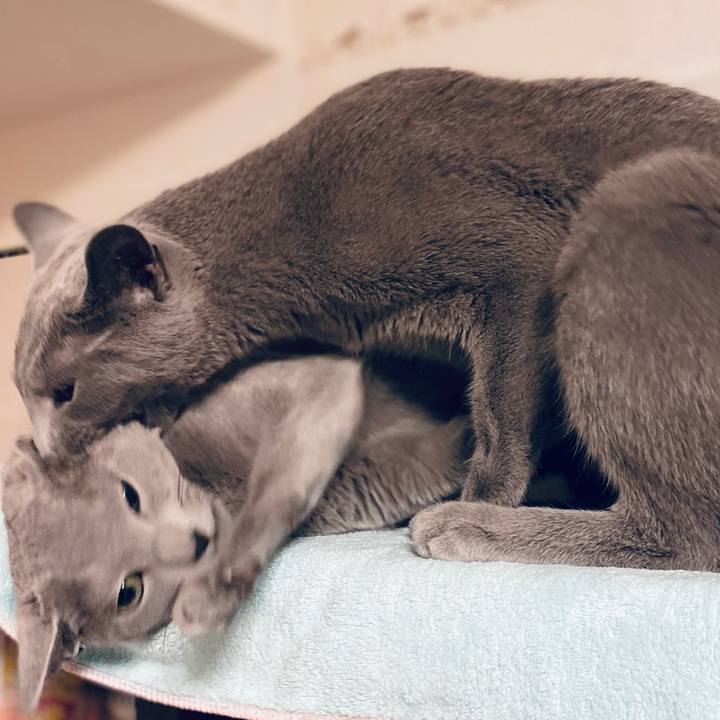 Eef4f869 04a5 4317 a2f8 a86d04423b60 1654124402057