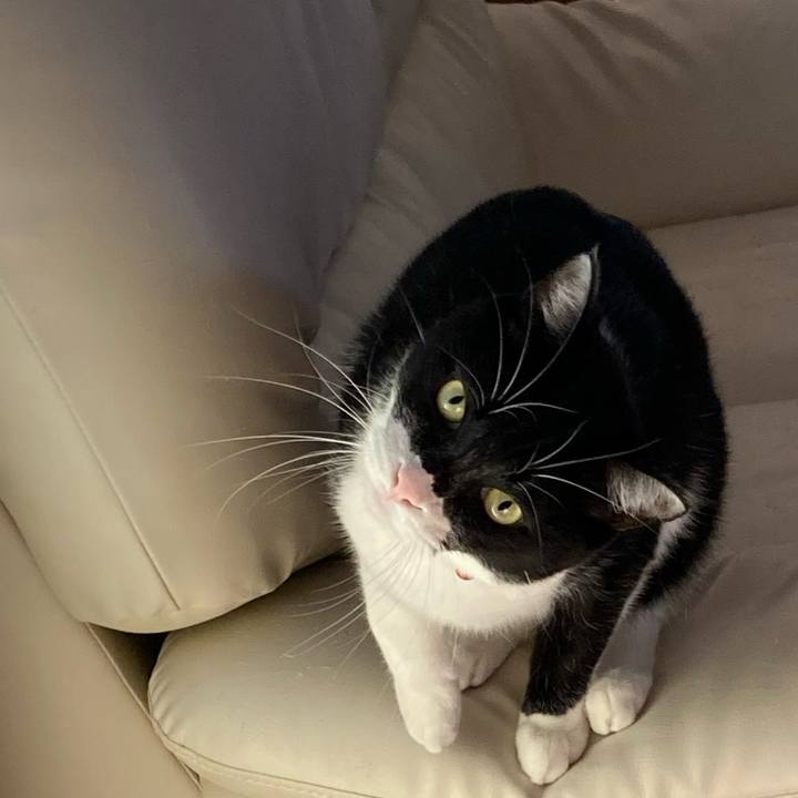 Eef50bab eadc 4fe9 806c 448385974c54 1640856298081