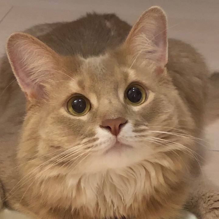 Eef51136 2e30 4e93 898b c09367d931b4 1682736248766