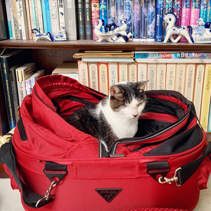 Eef51bff ee55 4630 93cd 68eb470b9954 1600656365821