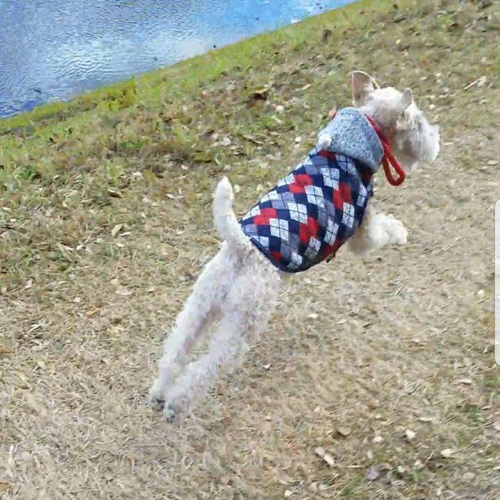 Eef56146 4c57 4c63 b41e 2b40b28e894a 1513491025208