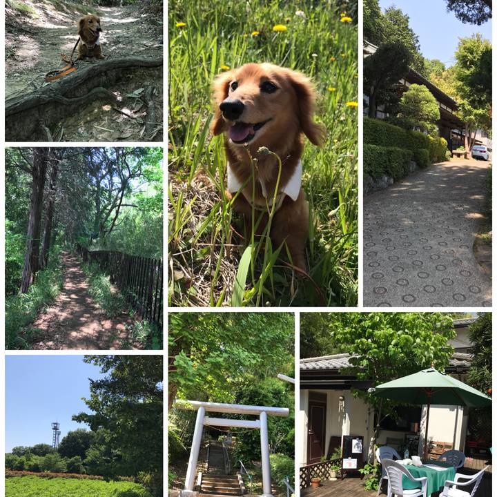 Eef5bec5 ab68 4f12 948e 1ca5eb2a774e 1525500581781