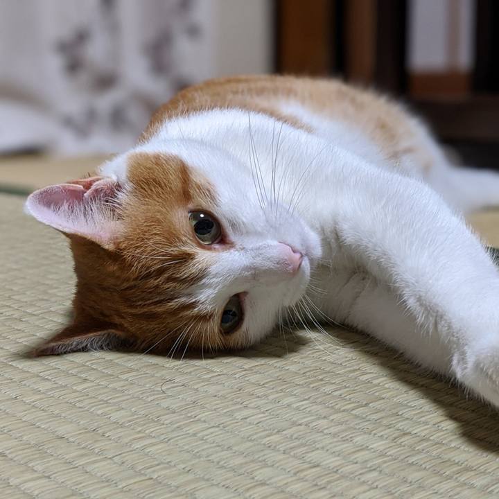 Eef5ce37 cb64 4163 a86b c1f4b8980867 1601207207872