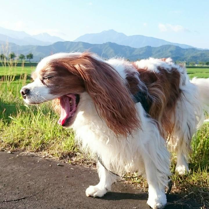 Eef6023e e0cb 440a 9758 ee5b8470e4df 1529618386888