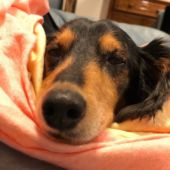 Eef624fa 9814 4adb a3bc 2c5db02c1b5d 1538224797254