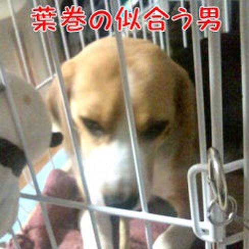 Eef63449 e4ec 4aa1 abad 52521622a357 1684369011249