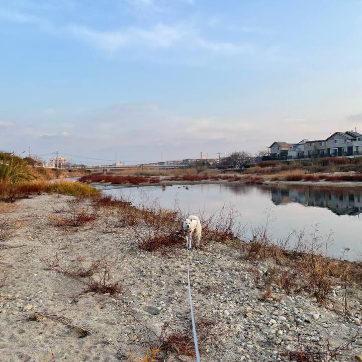 Eef63a8e ee9c 4c2e b6e1 6d31ad5863cd 1672912808078