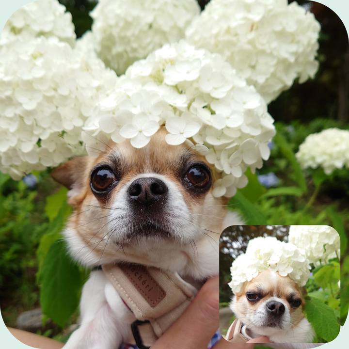 Eef68da7 7365 4c85 9ae8 42cb9a291872 1655519044979