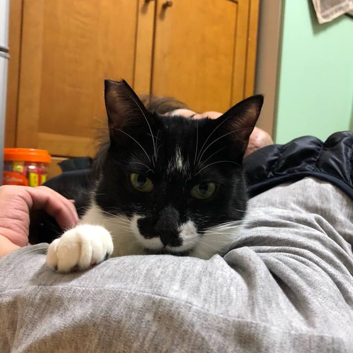 Eef69ae2 58f8 4663 b820 830a0f77d496 1550234943483