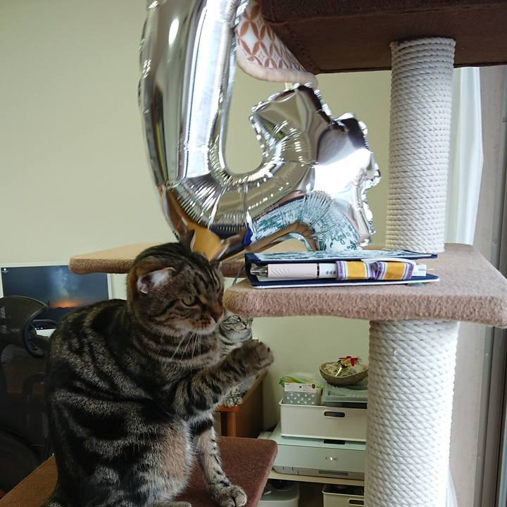 Eef6a149 3e77 46a1 b318 eda5c82651ae 1551320291680