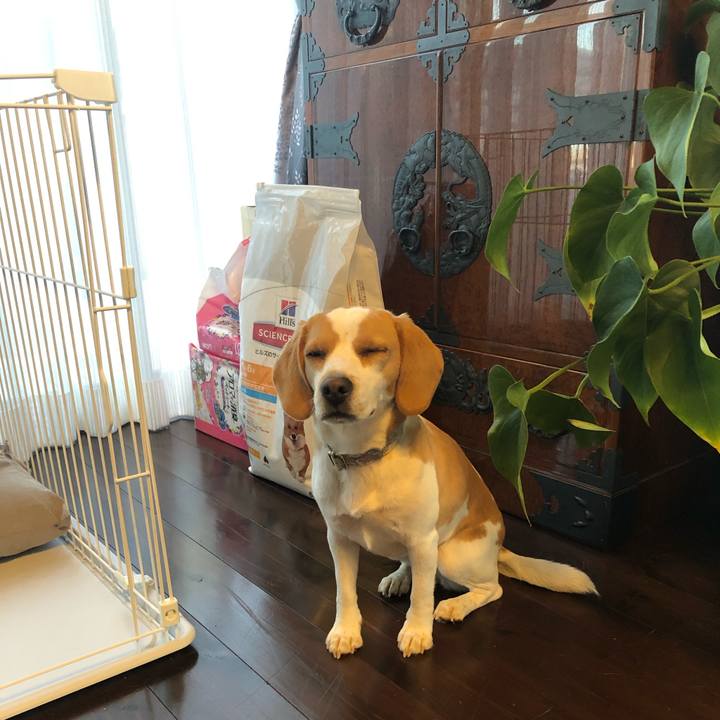 Eef6cd74 de18 4c48 b3b4 6b8693a0e0de 1587098235227