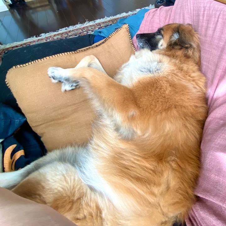 Eef6df59 d043 4f9c 80df e3b6dd1a9a39 1768125226207