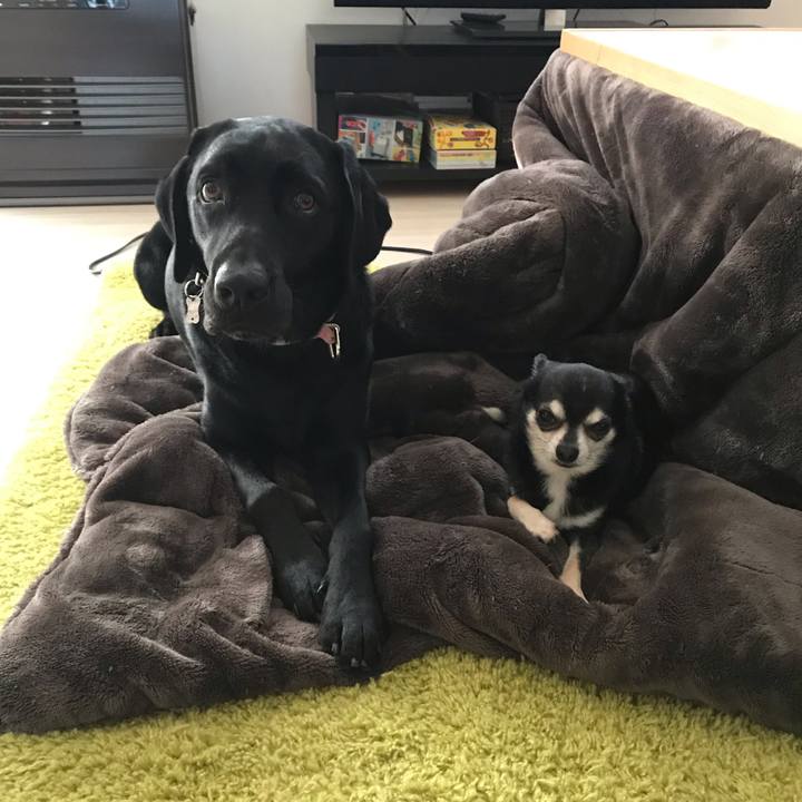 Eef6e293 4ad7 4b51 b2c4 ba42340e11f1 1552475517167