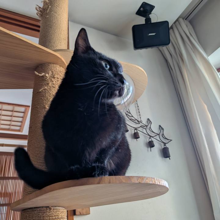 Eef6fa4e b017 476d 8474 e3746caea2f7 1763247254995