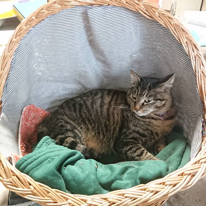 Eef71116 c09c 4792 aac7 e3389f25df18 1648337575547