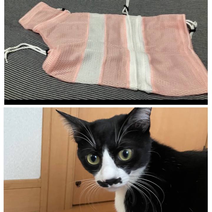 Eef725aa 8177 4938 884a d4ea04f2a24b 1707031379899