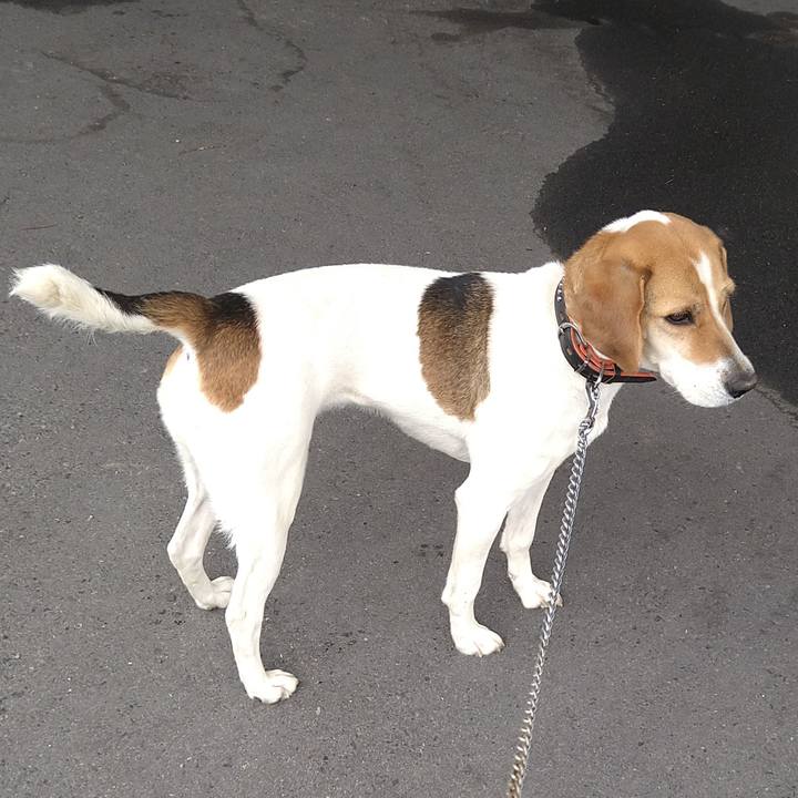 Eef7a39f 6251 4638 8ccc e3b8b26c8037 1622098073640