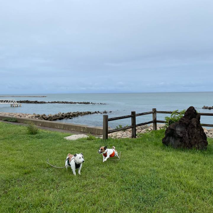 Eef7c5a4 0b69 4214 8f83 f0dea1186e92 1662506368623