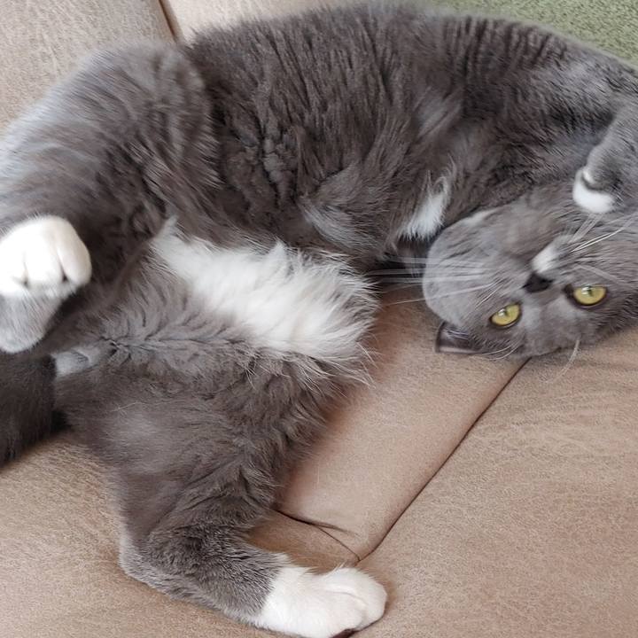 Eef7f6ba da63 4591 b990 e22c50da61a9 1674261045739