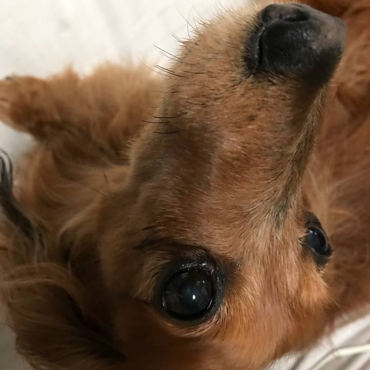 Eef7fc81 ab16 4a18 9af3 f55e52883a9b 1520630457557