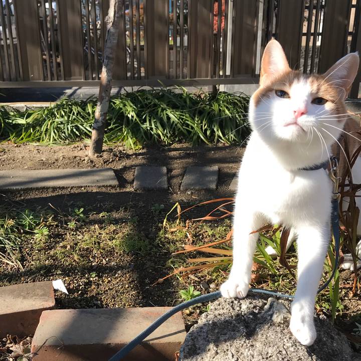 Eef80b39 82b9 43c9 8b39 0bc7bb199f49 1512646913743