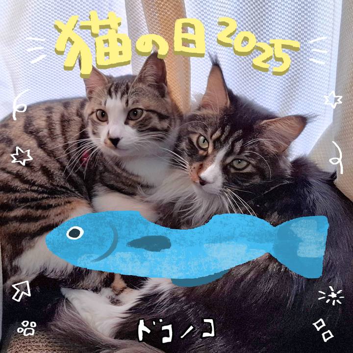 Eef824ed fbd6 46cb 9d30 502f57611570 1740275842399