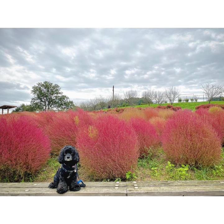 Eef82d26 8e72 4ecf 9cc6 17845cadc227 1665373582846