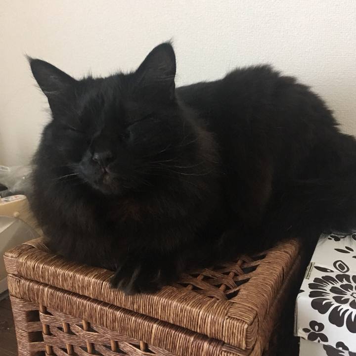 Eef83aff b69d 40c5 8b8b 210b48fc5f38 1553471047145