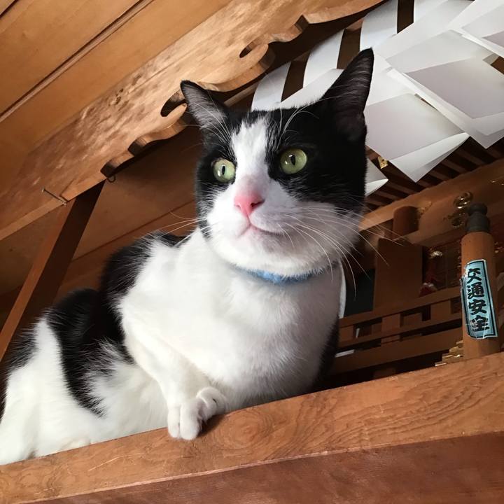 Eef850b6 db55 4434 86b3 e5b809be822c 1739182933511