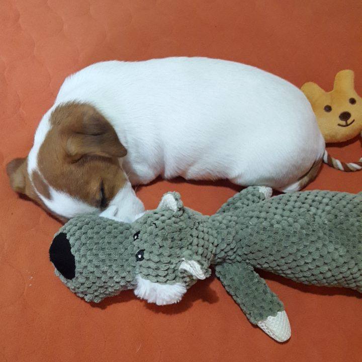 Eef85ddc 1fde 49d2 bc18 f58bdbd383c5 1550133436676