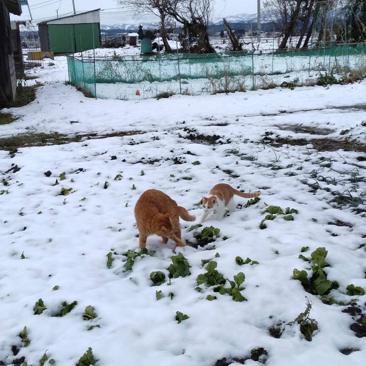 Eef86a8a 31b9 44cd a52e 03fd3c40dd56 1734069636383