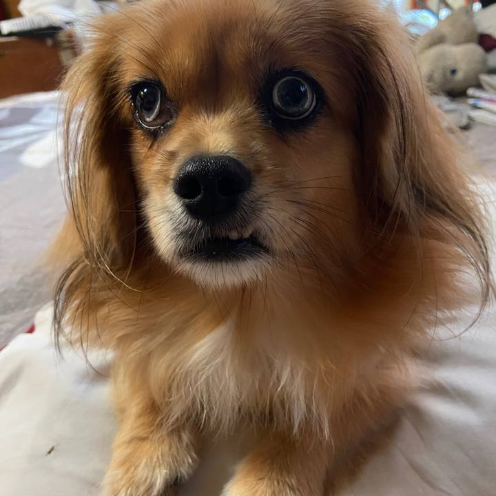 Eef87412 5bd0 4a17 b0cc c2d07c3cf07a 1635198450565