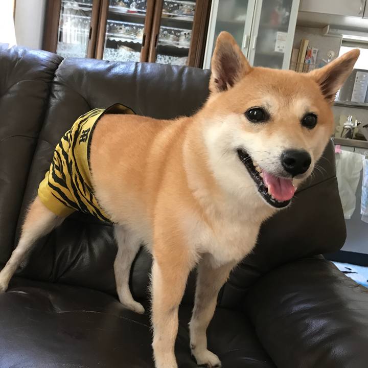 Eef8828a 91f7 48e1 aed8 102029ff18db 1549261576934